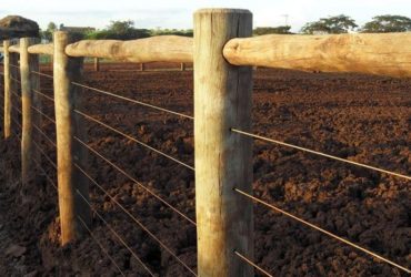 Madeira para Cerca de Eucalipto Tratado